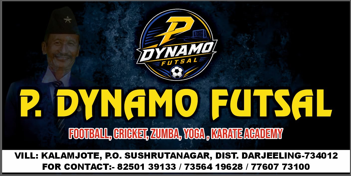 P Dynamo turf photo 1