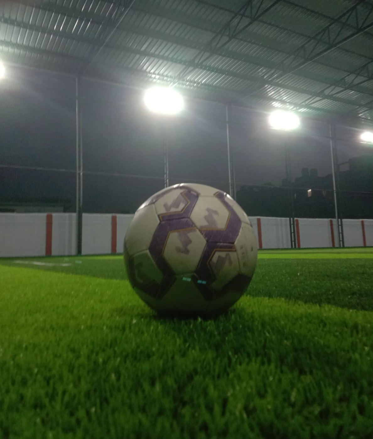 P Dynamo turf photo 6